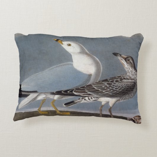 Audubon: リング勘定書を出されたカモメ アクセントクッション (裏面)