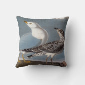 Audubon: リング勘定書を出されたカモメ クッション (裏面)
