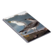 Audubon: リング勘定書を出されたカモメ ノートブック (右側)