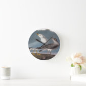 Audubon: リング勘定書を出されたカモメ ラウンド壁時計 (ホーム)