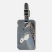 Audubon: リング勘定書を出されたカモメ ラゲッジタグ (正面縦)