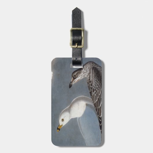 Audubon: リング勘定書を出されたカモメ ラゲッジタグ (正面縦)
