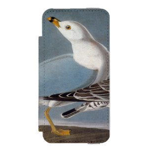 Audubon: リング勘定書を出されたカモメ iPhone SE/5/5sウォレットケース