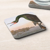 Audubon: 倍によって頂点に達される鵜 コースター (左側)