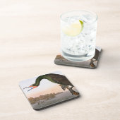 Audubon: 倍によって頂点に達される鵜 コースター (右側)