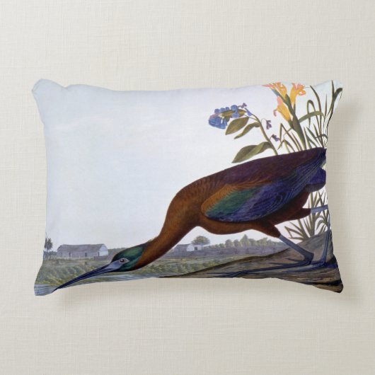 Audubon: 光沢のあるトキ亜科 アクセントクッション (正面)