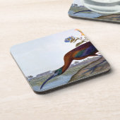 Audubon: 光沢のあるトキ亜科 コースター (左側)