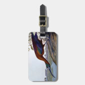 Audubon: 光沢のあるトキ亜科 ラゲッジタグ (正面縦)