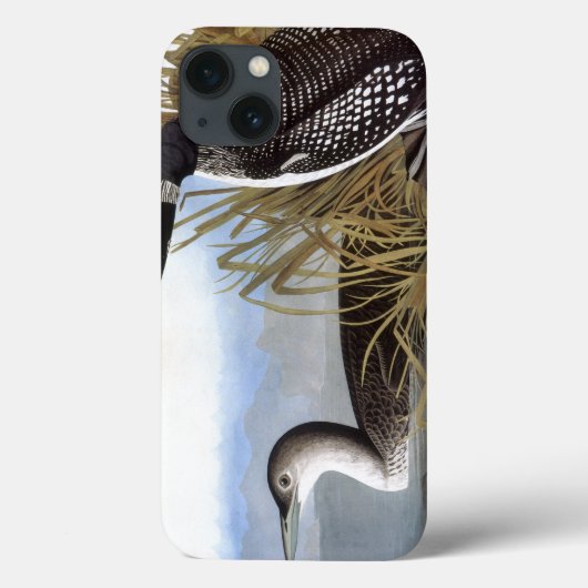 Audubon: 共通の水潜り鳥 Case-Mate iPhoneケース (裏面)