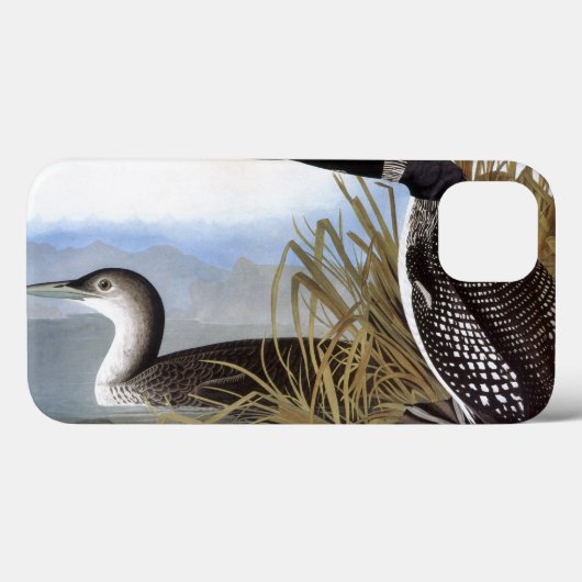 Audubon: 共通の水潜り鳥 Case-Mate iPhoneケース (裏面 (横))