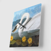 Audubon: 共通の白鳥 スクエア壁時計 (傾斜)