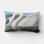 Audubon: 共通の白鳥 ランバークッション (裏面)