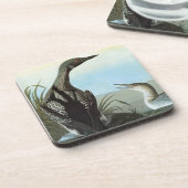 Audubon: 北極水潜り鳥 コースター (左側)