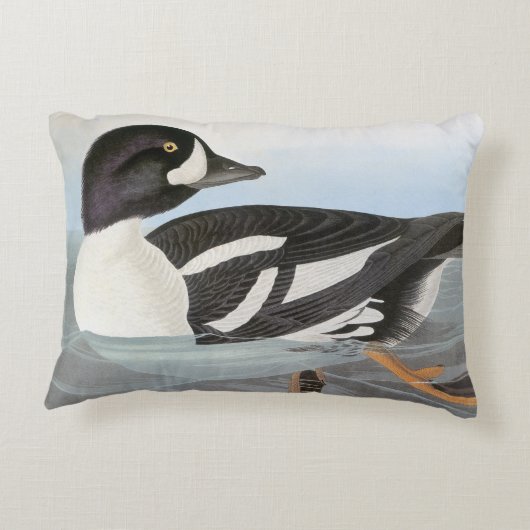 Audubon: 手押し車のクサカゲロウ アクセントクッション (裏面)