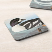 Audubon: 手押し車のクサカゲロウ コースター (左側)