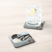 Audubon: 手押し車のクサカゲロウ コースター (右側)