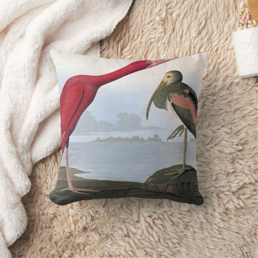 Audubon: 深紅トキ亜科 クッション (ブランケット)