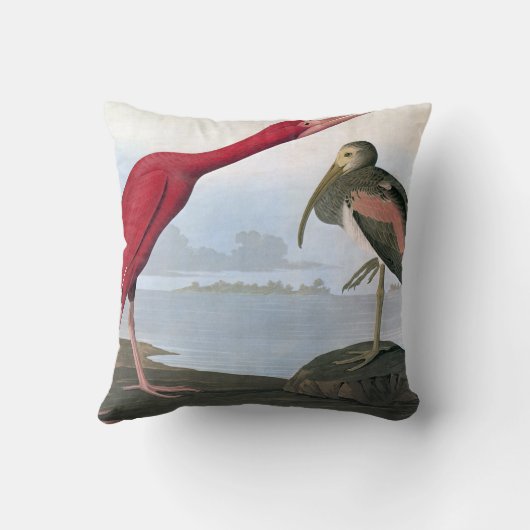 Audubon: 深紅トキ亜科 クッション (裏面)