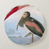 Audubon: 深紅トキ亜科 ラウンドクッション (裏面)