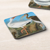 Audubon: 白いトキ亜科 コースター (左側)