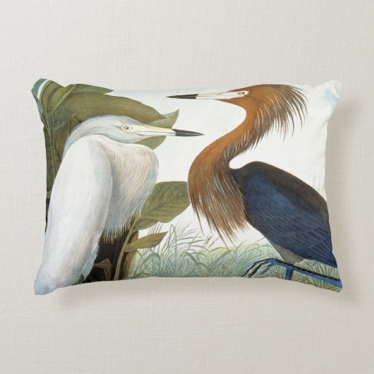 Audubon: 赤味がかった白鷺か紫色の鷲 アクセントクッション (正面)