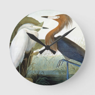 Audubon: 赤味がかった白鷺か紫色の鷲 ラウンド壁時計