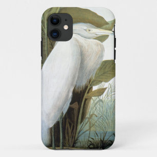 Audubon: 赤味がかった白鷺か紫色の鷲 iPhone 11 ケース