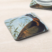 Audubon: 野生のトルコ コースター (左側)