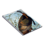 Audubon: 野生のトルコ ノートブック (右側)