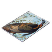 Audubon: 野生のトルコ ノートブック (左側)