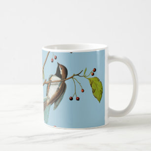 Audubon: 《鳥》アメリカゴガラ コーヒーマグカップ