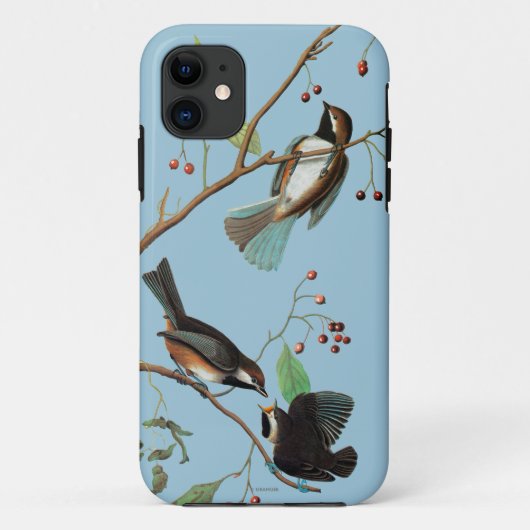 Audubon: 《鳥》アメリカゴガラ Case-Mate iPhoneケース (裏面)