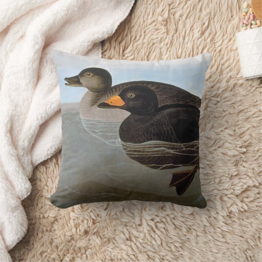 Audubon: 黒いScoter クッション (ブランケット)