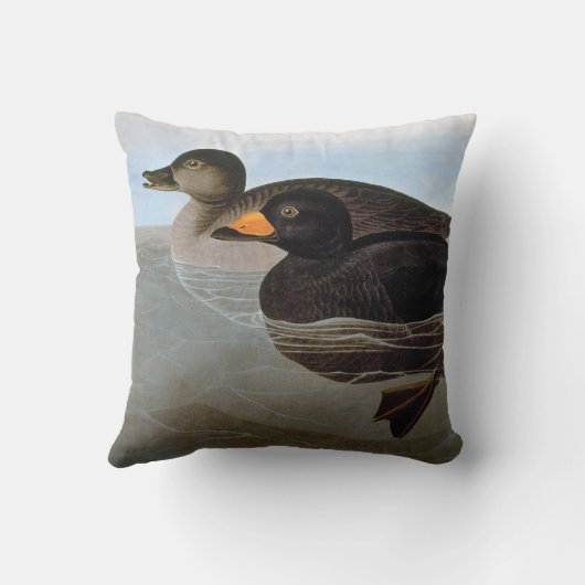 Audubon: 黒いScoter クッション (裏面)