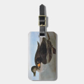 Audubon: 黒いScoter ラゲッジタグ (正面縦)