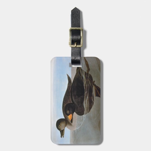 Audubon: 黒いScoter ラゲッジタグ (正面縦)