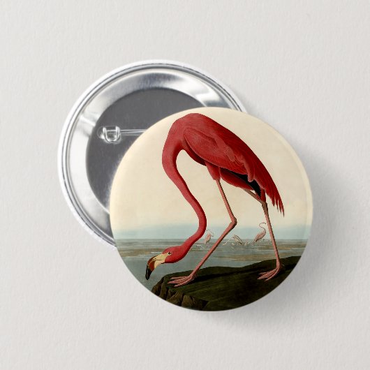 Audubon American Flamingo 缶バッジ (正面&裏面)