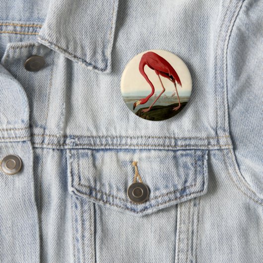 Audubon American Flamingo 缶バッジ (インサイチュ)