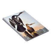 Audubon: Anhinga ノートブック (右側)