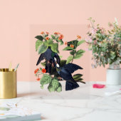 Audubon Birds – 白い冠をかぶったハト アクリルサイン (ウェディング)