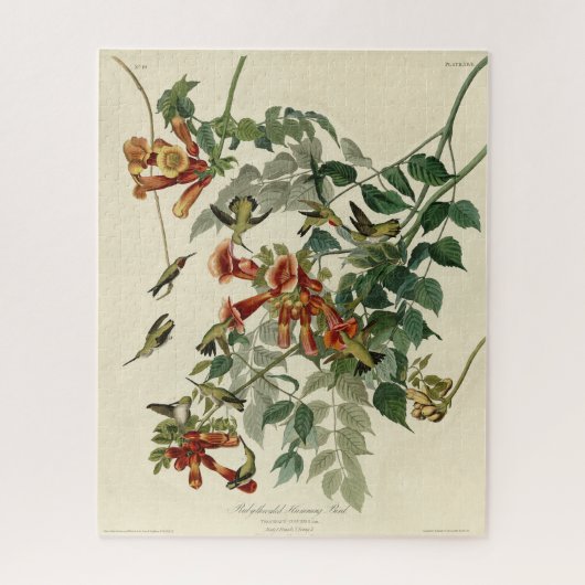 Audubon Birds Americaルビーを使ったハミング鳥 ジグソーパズル (縦)