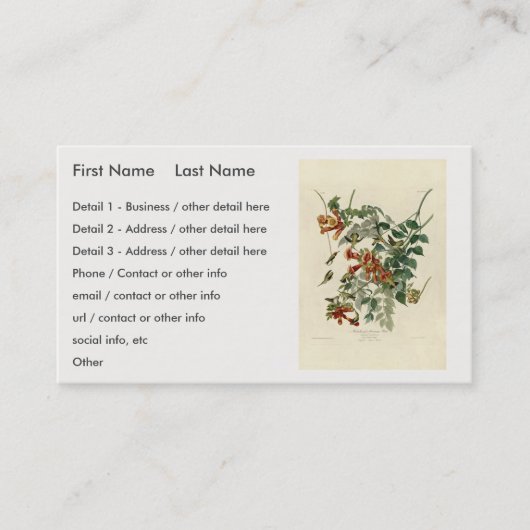 Audubon Birds Americaルビーを使ったハミング鳥 名刺 (正面)