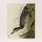 Audubon Birds America(ブルーワーズダック) ジグソーパズル (縦)