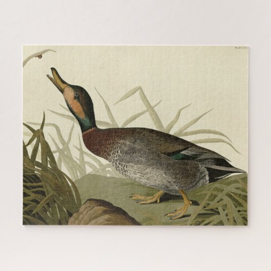 Audubon Birds America(ブルーワーズダック) ジグソーパズル (横)