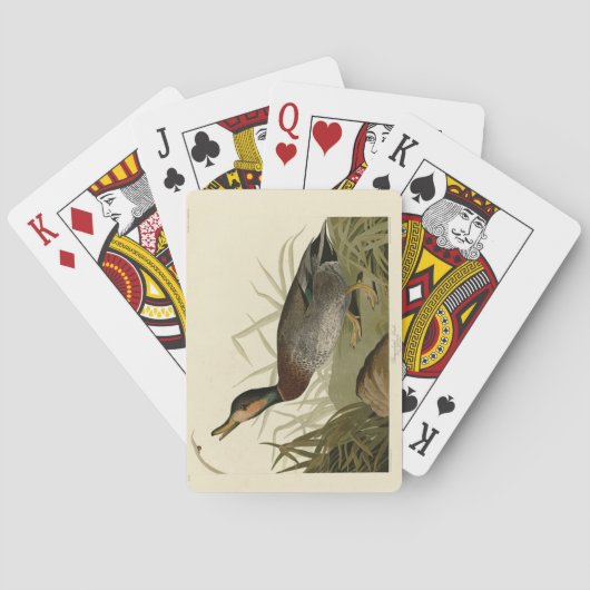 Audubon Birds America(ブルーワーズダック) トランプ (裏面)