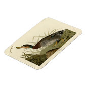 Audubon Birds America(ブルーワーズダック) マグネット (左側)