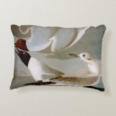 Audubon: Bonaparteのカモメ アクセントクッション (裏面)