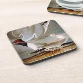 Audubon: Bonaparteのカモメ コースター (左側)