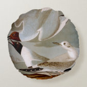 Audubon: Bonaparteのカモメ ラウンドクッション (裏面)