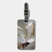 Audubon: Bonaparteのカモメ ラゲッジタグ (正面縦)